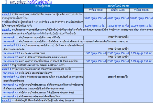 ประกันสุขภาพ VIP DD ตารางผลประโชน์ 1