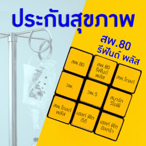 การประกันสุขภาพ 80 รีฟันด์ พลัส (สพ.80 รีฟันด์ พลัส)