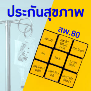การประกันสุขภาพ 80 ( สพ.80) สวัสดิการค่ารักษาพยาบาลในโรงพยาบาล