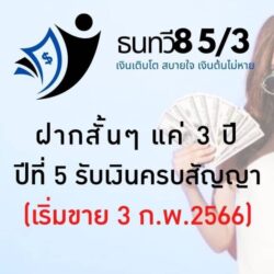 ธนทวี 8 5/3
